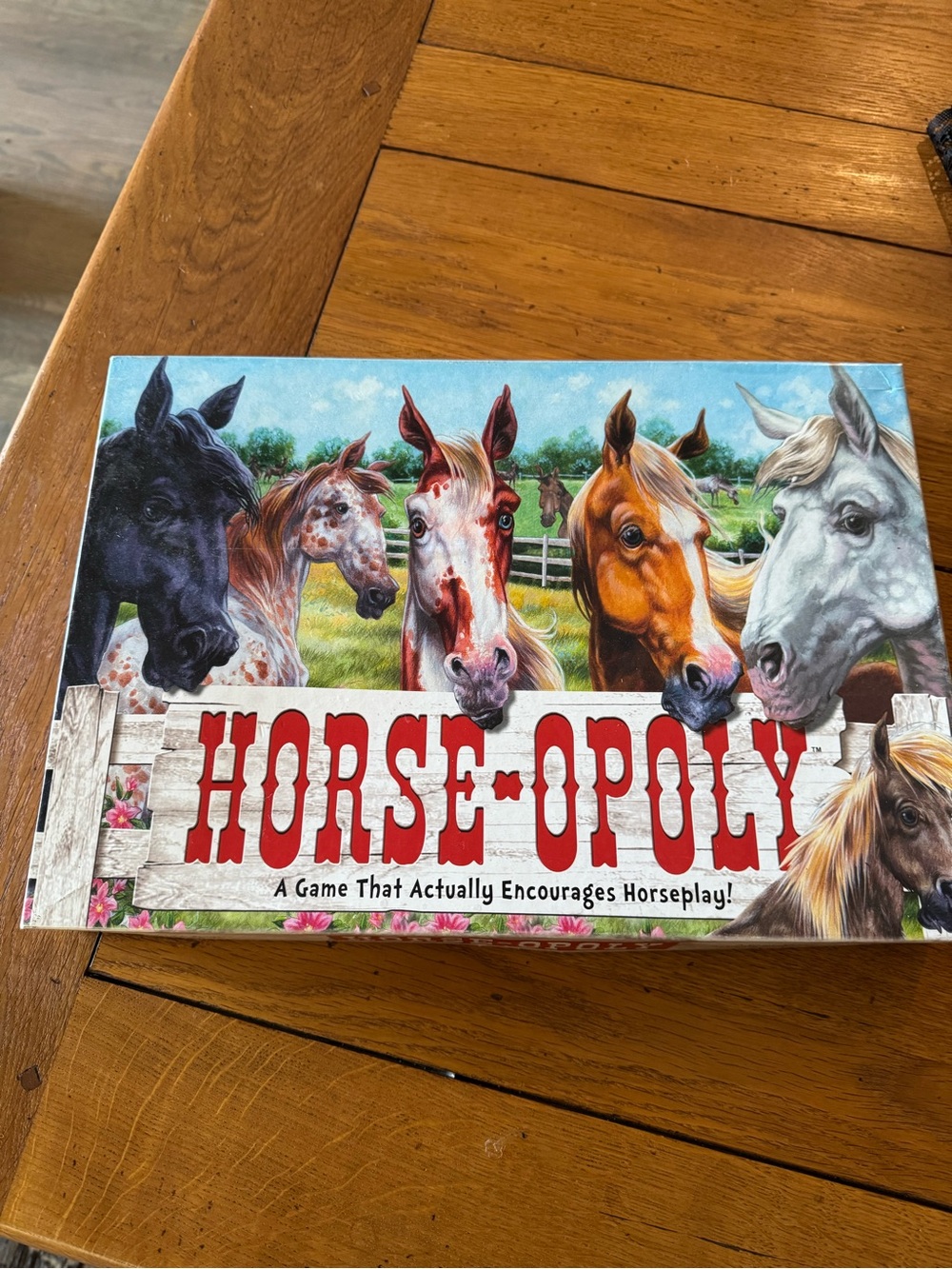 Horse-Opoly Board Game - Colorful Horse Edition